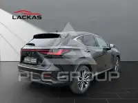 2024 Lexus NX250
