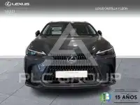 2024 Lexus NX250