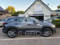 2024 Lexus NX250