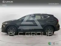 2024 Lexus NX250