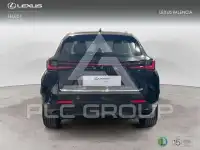 2024 Lexus NX250
