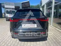 2024 Lexus NX250