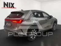2024 Lexus NX250