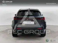 2024 Lexus NX250