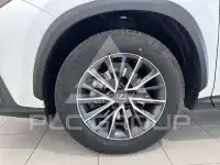 2024 Lexus NX250