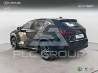 2024 Lexus NX250