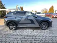 2024 Lexus NX250