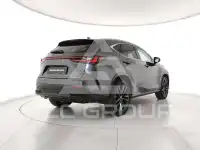 2024 Lexus NX250