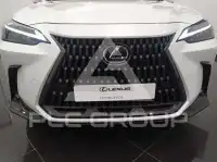 2024 Lexus NX250