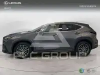 2024 Lexus NX250