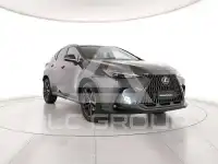 2024 Lexus NX250
