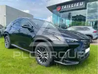 2024 Lexus NX250