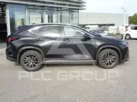 2024 Lexus NX250