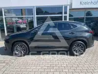 2024 Lexus NX250