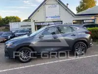 2024 Lexus NX250
