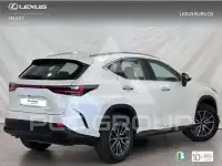 2024 Lexus NX250