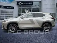 2024 Lexus NX250