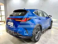2024 Lexus NX250