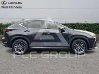 2024 Lexus NX250
