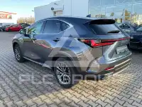 2024 Lexus NX250