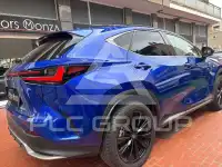 2024 Lexus NX250