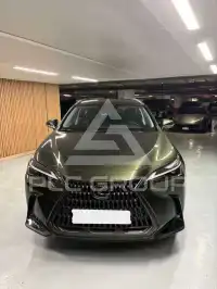 2024 Lexus NX250