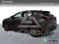 2024 Lexus NX250