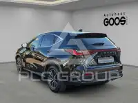 2024 Lexus NX250