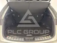 2024 Lexus NX250