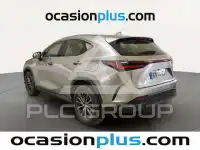 2024 Lexus NX250