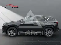 2024 Lexus NX250