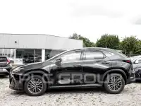 2024 Lexus NX250