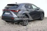 2024 Lexus NX250