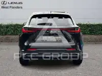 2024 Lexus NX250