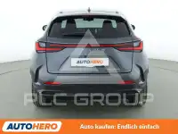 2024 Lexus NX250