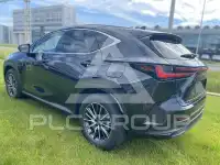 2024 Lexus NX250