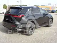 2024 Lexus NX250