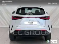 2024 Lexus NX250