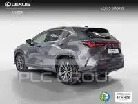 2024 Lexus NX250