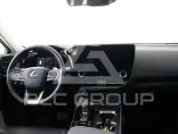 2024 Lexus NX450