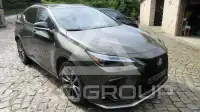 2024 Lexus NX450