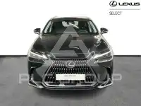2024 Lexus NX450