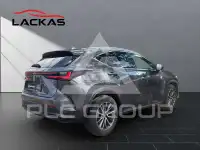 2024 Lexus NX450