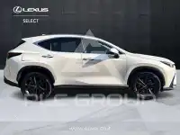 2024 Lexus NX450