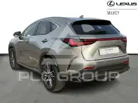 2024 Lexus NX450