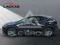 2024 Lexus NX450