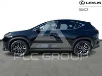 2024 Lexus NX450