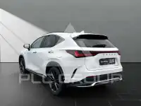 2024 Lexus NX450