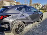 2024 Lexus NX450