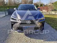 2024 Lexus NX450